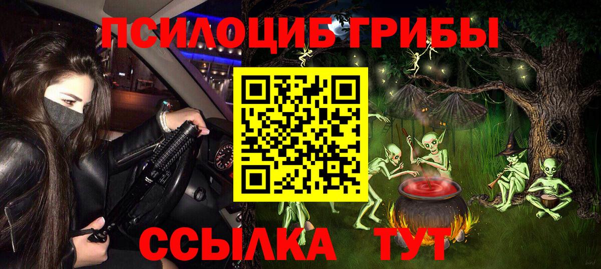 Галлюциногенные грибы Cubensis Новоалександровск
