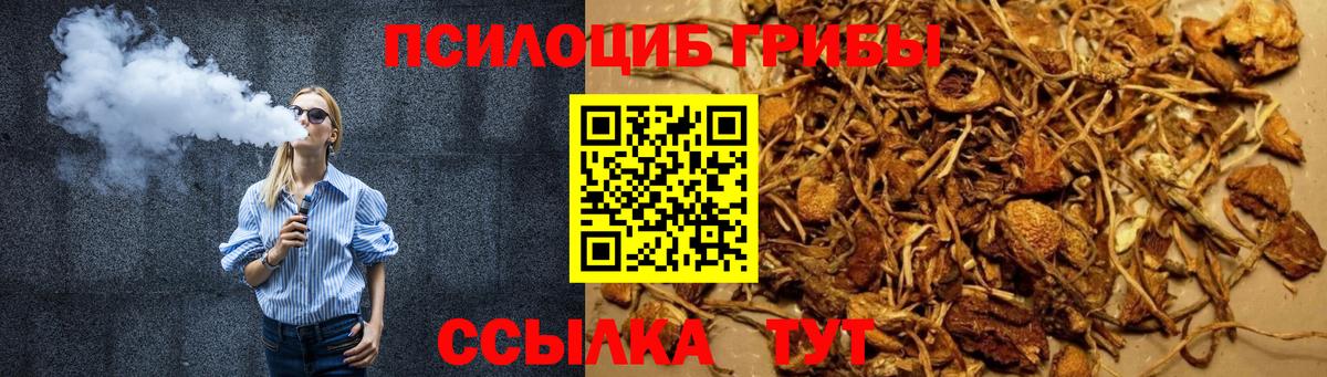 Галлюциногенные грибы ЛСД  Вход с VPN  что такое наркотик  Новоалександровск 