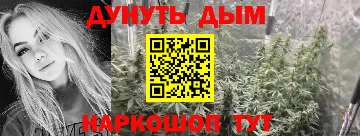 Бошки марихуана THC 21%  Вход с VPN  Новоалександровск  Каннабис ГИДРОПОН  Конопля гибрид 