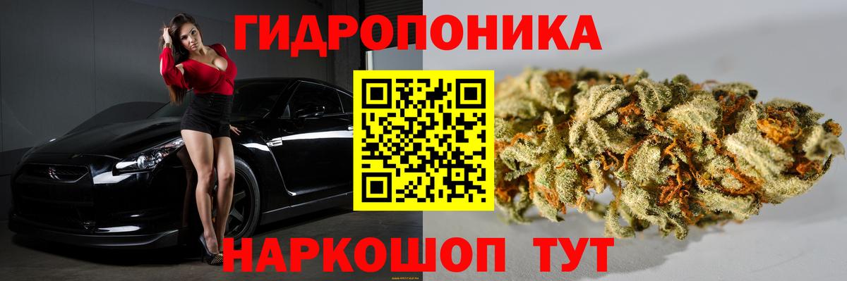 Каннабис гибрид Новоалександровск
